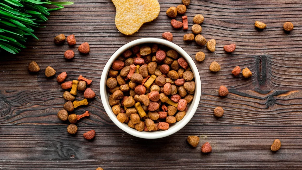 Your Guide to Dog Nutrition