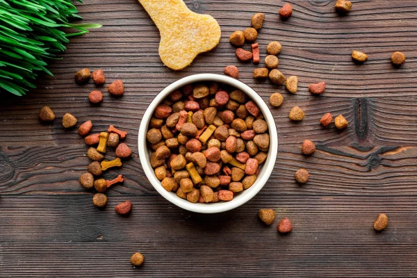 The Pet Food Industry Is Rotten. It’s Time for Entrepreneurs to Step Up.
